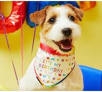 Pet London Dog or Cat Birthday Bandana Reversible in Fun Happy Bright Colours - Celebrate Dog's for Boy or Girl-Rainbow Pattern, Party Bday or Adoption Gift Celebration-Size LARGE