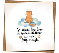 Pet Loss Sympathy Card - Cat Memorial Condolence Card, 145mm x 145mm Square with Kraft Envelope - “No Matter How Long We Have With Them” Comfort Message
