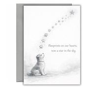 Pet Loss Sympathy Card Pawprints On Our Hearts SYM09