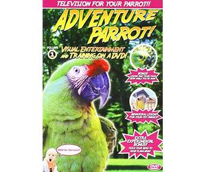 Pet Media Feathered Phonics Adventure Parrot DVD Volume 1: Speak and Read via Television