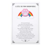 Pet Memorial Keepsake, Rainbow Bridge Pocket Hug with Paw Print Token, Sympathy Gift for Loss of Dog or Cat, Bereavement Gift for Pet Loss, Condolences Gifts, Pink