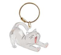 Pet Memorial Key Ring - Cute Transparent Portable Cat Hair Storage Key Ring for Women and Men Holiday Wallet Collections Backpack Handbag and School Bag