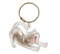 Pet Memorial Keychain - Cute Pendant Keyring | Dog Hair Ķeychain Keepsake | Clear ABS Cat Ĥair Remembrance Vial For Women Men Holiday Backpack Purse Wallet Schoolbag Handbag Decoration, 2x3x6cm