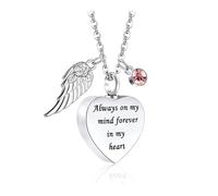 Pet Necklace Its Urn to Carry Loved Pet Ashes Always Cremation Necklace