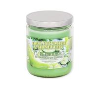 Pet Odor Exterminator Candle 13oz jar, Cool Cucumber & Honeydew