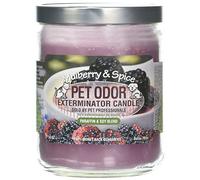 Pet Odor Exterminator Candle: Mulberry Spice