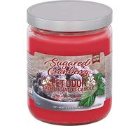Pet Odor Exterminator Candle: Sugared Cranberry