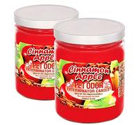 Pet Odor Exterminator Cinnamon Apple Candle - 13 oz, Pack of 2