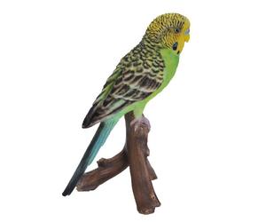 Pet Pals Budgerigar by Vivid Arts