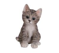 Pet Pals Kitten Tabby by Vivid Arts