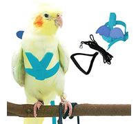 Pet Parrot Bird Harness and Lead, Adjustable Training Design, Anti-Bite, Bird Nylon Rope with Cute Wings for Parrots, Suitable for Alexandrine, Scarlet, Keck, Mini Macaw (Light Blue)
