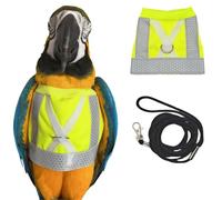 Pet Parrot Bird Harness and Leash, Adjustable Training Design Anti-Bite, Bird Nylon Rope for Parrots, Waterproof and Reflective, Suitable for Macaw Cockatoo Cockatiel Lovebird Conure African Grey (L)