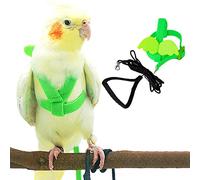 Pet Parrot Bird Harness and Leash, Adjustable Training Design Anti-Bite, Bird Nylon Rope with Cute Wing for Parrots, Suitable for Alexandrine, Scarlet, Keck, Mini Macaw and Same Size Birds (Green)