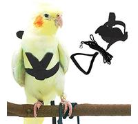 Pet Parrot Bird Harness and Leash, Adjustable Training Design Anti-Bite, Bird Nylon Rope with Cute Wing for Parrots, Suitable for Alexandrine, Scarlet, Keck, Mini Macaw and Same Size Birds (Black)
