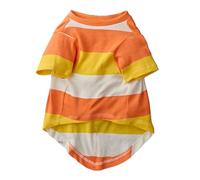 Pet Passion Multipack 100% Organic Cotton Dog Short Sleeve T-Shirt Pet Tees for All Breeds, Candy Corn, Medium