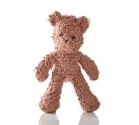 Pet Passion Plush Durable Cotton Dog Toys with Coconut Fill for All Pet Breeds, Bear, One Size