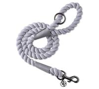 Pet Passion Rowan - The Twisted Rope Training Leash Cotton Durable Heavy Duty Leashes, 4 Ft. for Close Walks for Small, Medium, Large Dogs , Gray