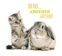 Pet Pawtrait Card - Grey Hares (Birthday Card)