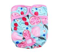 Pet Physiological Pants Fast Absorbing Breathable Dog Sanitary Underwear Avoid Harassment Menstrual Diaper for Female Dogs in Heat Polyester Washable Reusable (Cherry Lemon XS)