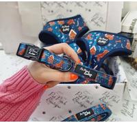 Pet Pooch Boutique Gingerbread Biscuit Dog Collar S - Small, Blue, Exclusive Festive Print