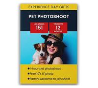 Pet Portrait Gift Experience