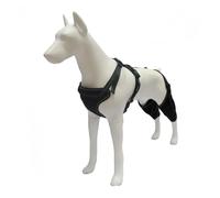 Pet Protective Gear Dog Legs Double Protective Gear Auxiliary Leg Sleeve Adjustable Metal Support After Thigh Protective Sleeve Operation (A, One Size)