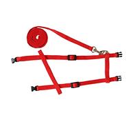 Pet Rabbit Soft Harness Leash Adjustable Bunny Traction Rope for Running Walking Clever