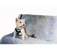 Pet Rebellion Comfy Car Cover Grey | Universal, Absorbent, Scratch Proof, Travel-friendly- Mud and Drool Seat Protector | Softness & Enhanced Safety w/Soft Fabric & Non-Slip Backing | 130 x 125 cm