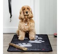 Pet Rebellion Stop Muddy Paws Rug - Black