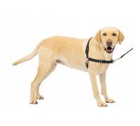 Pet Safe Easy Walk Dog Harness, Large, Black