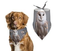 Pet Scarf,A Small White Barn Owl Printed Personalized Dog Scarf Triangle Bib Bandana Accessories Funny Dog Bandanas for Dogs Cats