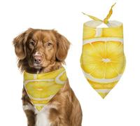 Pet Scarf Dog Scarf Pet Bandana Bandana for Dogs Lemon Slice Pattern Printed for Most Dog And Cat