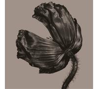 PET SHOP BOYS - Release (2017 remastered) - Vinyl (180 gram vinyl LP)