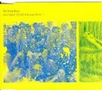 Pet Shop Boys - Se a Vida E Pt. 2 (US Import)