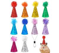 PET SHOW 10 Pack Mini Party Hats for Stuffed Animals Figures Toys Dinosaur Hamster Tiny Hats for Crafts Colorful Doll Decor Adjustable Cone Hat with Tinsel Pom Kids Birthday Cake Toppers Accessories