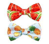 PET SHOW 2 Pack Fruit Dog Bowties for Large Dogs Slide on Collar
