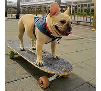 Pet Skateboard with Surf Stand - Complete Design for Dogs and Pets, Colorful PU Wheels, Suitable for Bulldogs, Children and Adults
