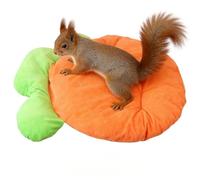 Pet Sleeping Mats - Cat And Carrot Shaped Soft Pets Matss | Cute Cartoon Cushioned Mats For Dogs And Cats | Pet Floor Mat - Indoor Comfort Bedding