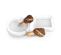 Pet Snail Food & Water Bowls - 2-Piece Food-Grade Silicone Bowl Set, Snail Safe Feeding & Water Dishes for Helix Aspersa, Helix Pomatia, Milk, Giant African & Other Land Snails
