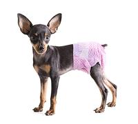 Pet Soft Dog& Cat Nappies Female - Disposable Dog Nappies Pants Large in Season, Chihuahua Diapers 12pcs with Adjustable Tail Hole Cute