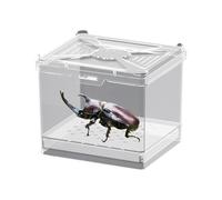 Pet Spider Terrarium - Glass Habitat Enclosure with Ventilated Lid | Secure Lock and Easy Access Ideal for Tarantulas, Scorpions and Small Exotic Pet Perfect for Home Display 4.02x3.54x3.54 in