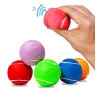 Pet Squeaker Balls - 2.5 Inch - 6pk