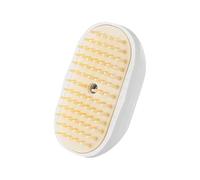 Pet Steamy Brush - Type-C Charging Pet Grooming Comb | Rechargeable Cat Steamy Massage Comb for Grooming | for Indoor Outdoor Home Small Medium Large Kitten Puppy
