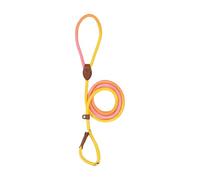 Pet Straps, Puppy Walk Strap Nylon Rope Without Pull | Booster Small Medium Dogs Health Happinet Exhaust for Running, Walking