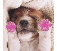 Pet Supplies Dog Protectors Reusable Mud Booties for Outdoor Walking - Foot Covers for Small Medium Large Dogs (B, 10x8x1)