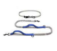 Pet Supplies Outdoor Running Dog Leash (Royal blue)