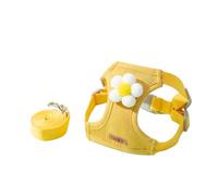 Pet Supplies Step In Dog Harness and Leash Set for Walking - Adjustable No Pull Vest Soft Breathable Mesh Cute (A, One Size)