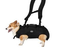 Pet Support & Rehabilitation Sling Lift - Adjustable Padded Breathable Straps for Dogs with Disabilities, Joint Injuries, Arthritis & Loss of Stability (16.5-33LBS)