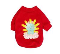 Pet Sweatshirt, Thermal Dog Coat in Cold Weather with Dragon Pattern, Winter Must Have a Dog Sweater for Dog, Cat, Rabbit, Chinchilla