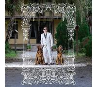 Pet Symmetry - Pets Hounds